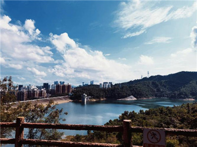 广州九八场的概述